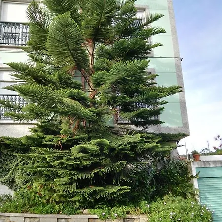 Pisos Vistalegre 2b Con Jardin Cerca Del Mar Lägenhet