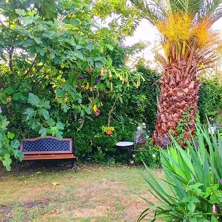 Vistalegre Con Jardín Cerca Del Mar 2