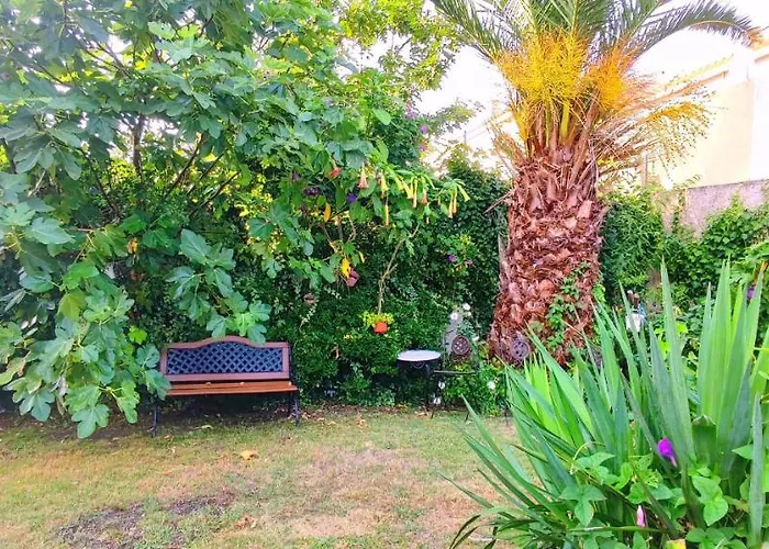 Pisos Vistalegre 2b Con Jardin Cerca Del Mar